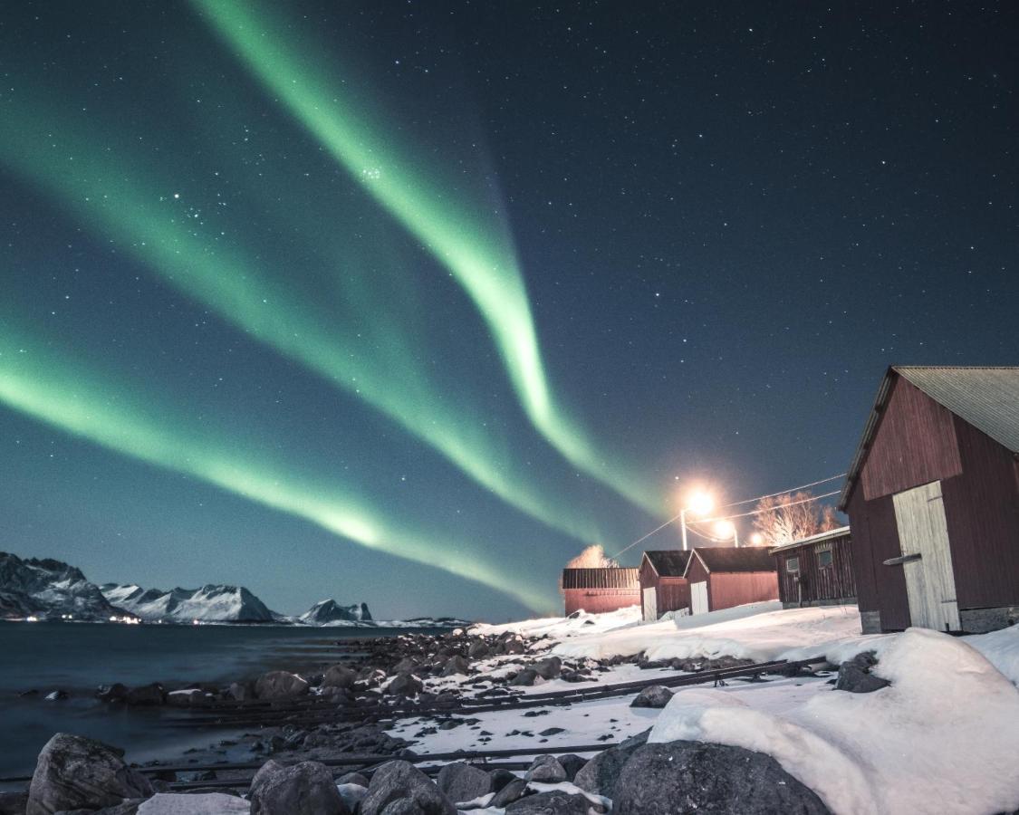 Skagi Bed & Lodge Skaland Exteriör bild